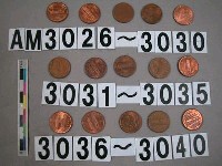 藏品(美國1分硬幣)的圖片